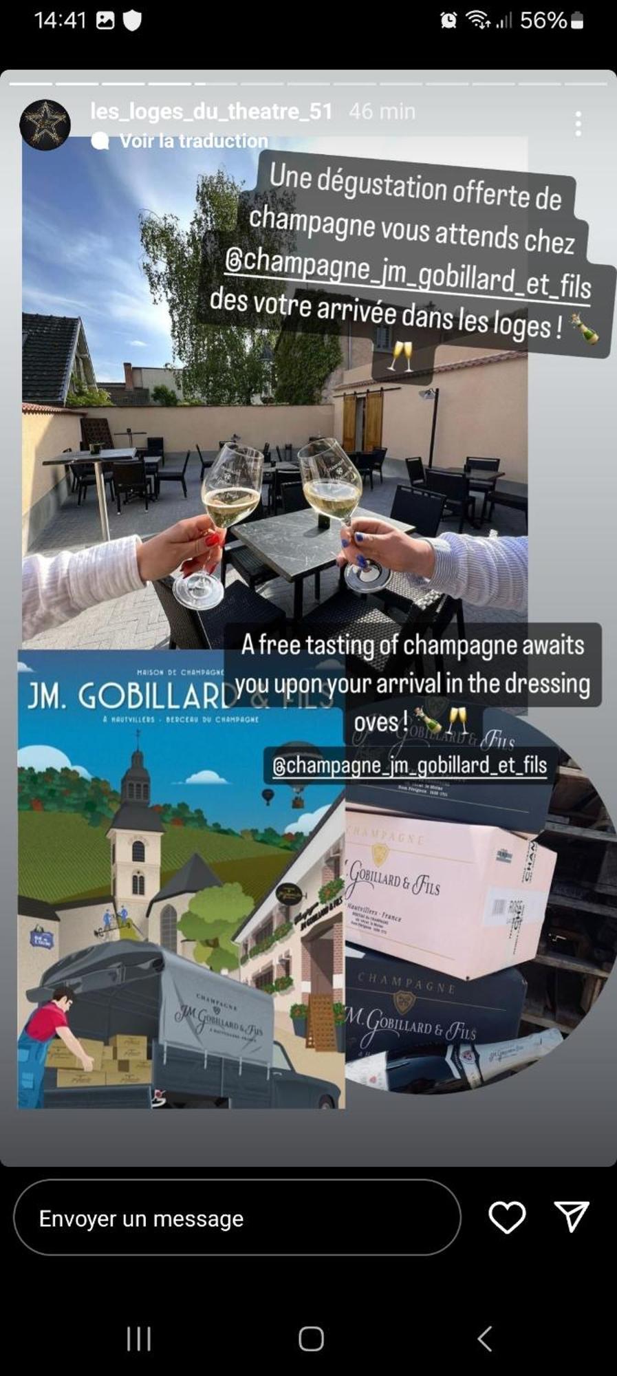 Les Loges Du Theatre Degustation Champagne Offerte Jacuzzi Sauna Jeux Velos Maison Prive 150M2 Historique 14Pers Max Emplacement Exceptionnel Et Chic, 200M De L'Avenue De Champagne, Gare, Musee, Jardins, Restaurations, Toutes Commodites Epernay Bagian luar foto