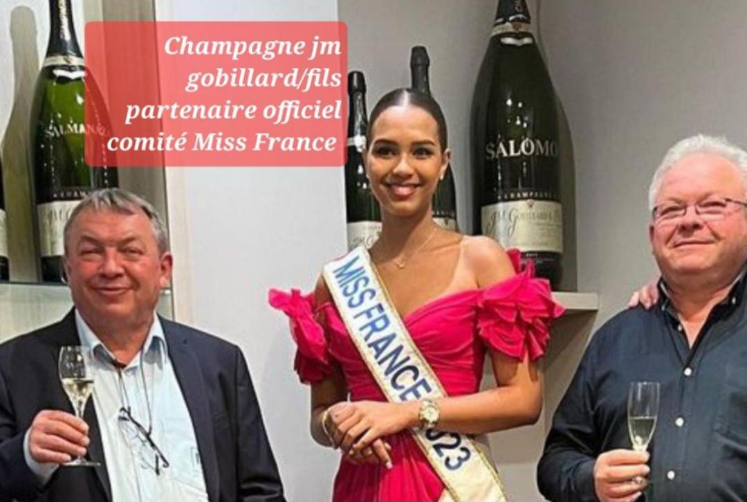 Les Loges Du Theatre Degustation Champagne Offerte Jacuzzi Sauna Jeux Velos Maison Prive 150M2 Historique 14Pers Max Emplacement Exceptionnel Et Chic, 200M De L'Avenue De Champagne, Gare, Musee, Jardins, Restaurations, Toutes Commodites Epernay Bagian luar foto