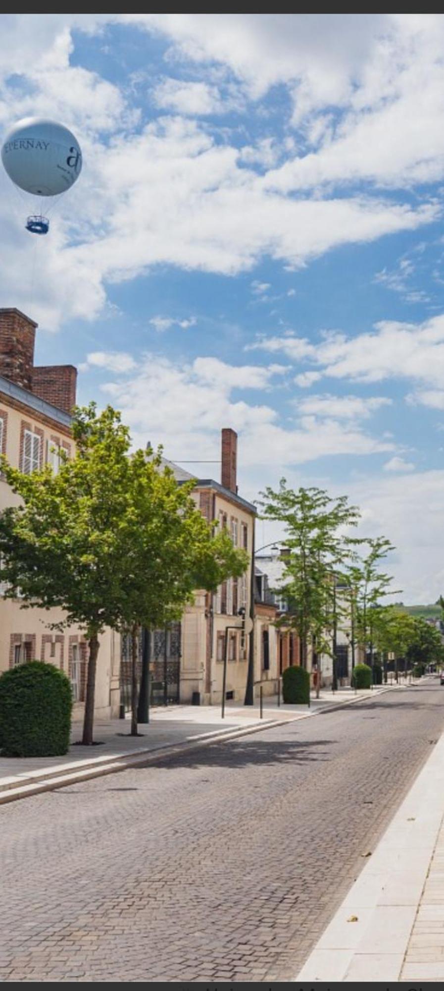 Les Loges Du Theatre Degustation Champagne Offerte Jacuzzi Sauna Jeux Velos Maison Prive 150M2 Historique 14Pers Max Emplacement Exceptionnel Et Chic, 200M De L'Avenue De Champagne, Gare, Musee, Jardins, Restaurations, Toutes Commodites Epernay Bagian luar foto